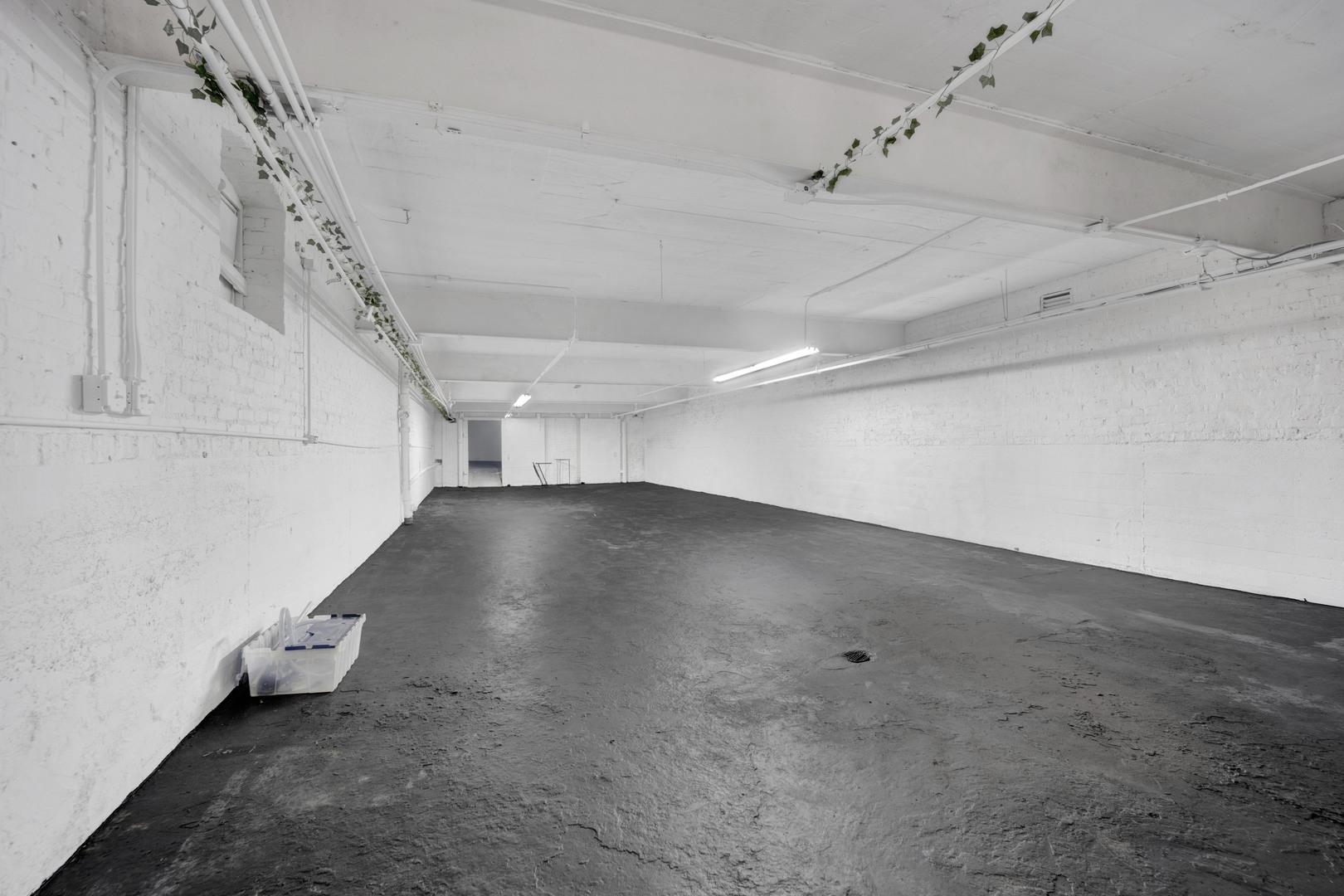 7055 North Clark Street Chicago IL 60626
