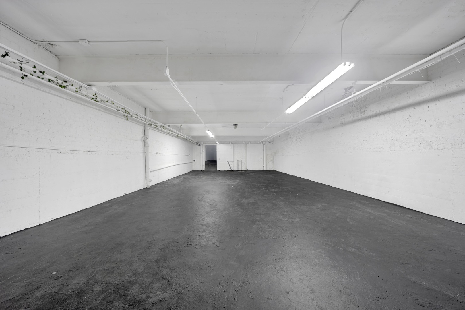 7055 North Clark Street Chicago IL 60626