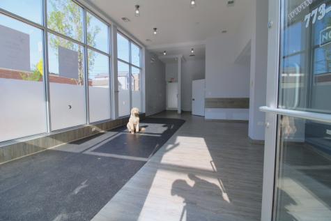 859 North Ashland Avenue Chicago IL 60622