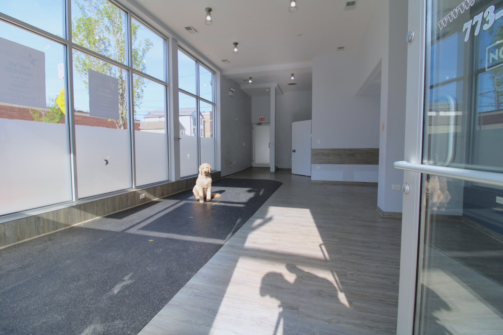 859 North Ashland Avenue Chicago IL 60622