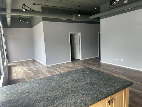 34498 North Old Walnut Circle Gurnee IL 60031