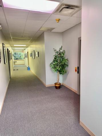 20646 Abbeywood Court Frankfort IL 60423