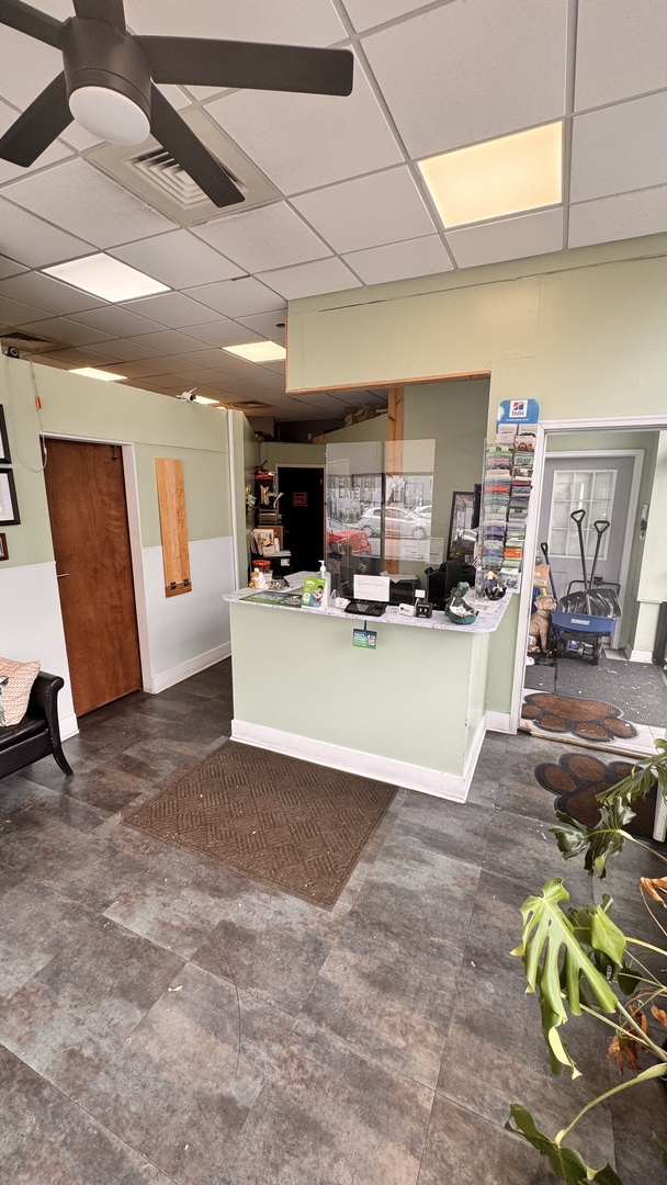 3674 North Elston Avenue Chicago IL 60618