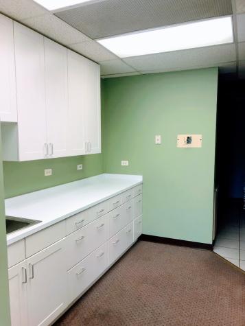4608 West 103rd Street Oak Lawn IL 60453