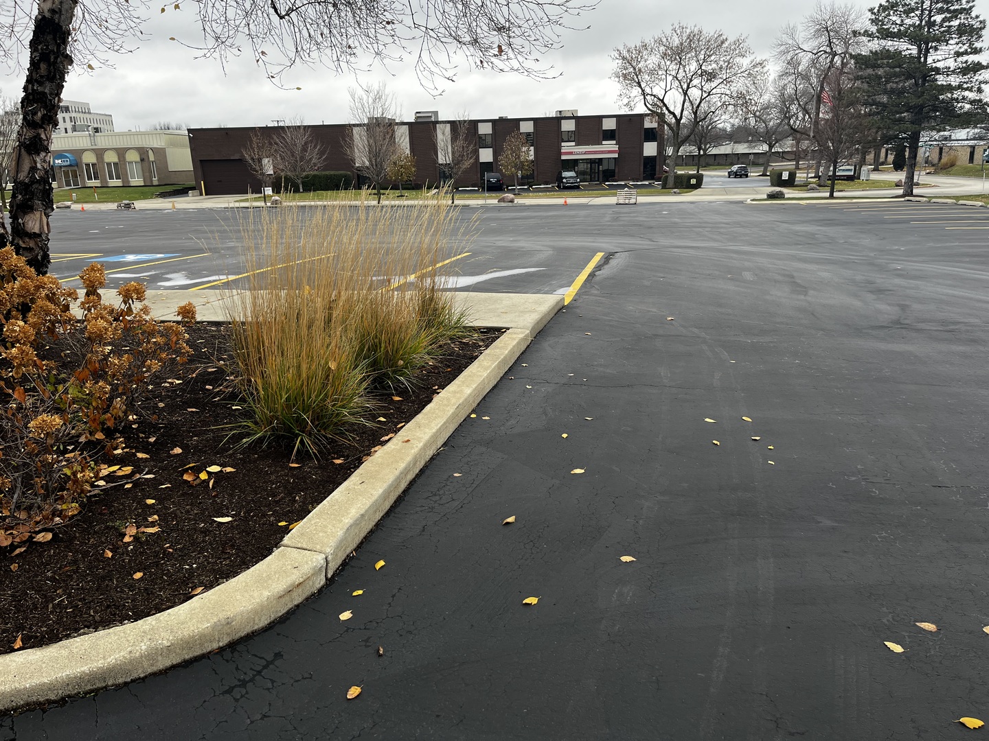 3005 Tollview Drive Rolling Meadows IL 60008