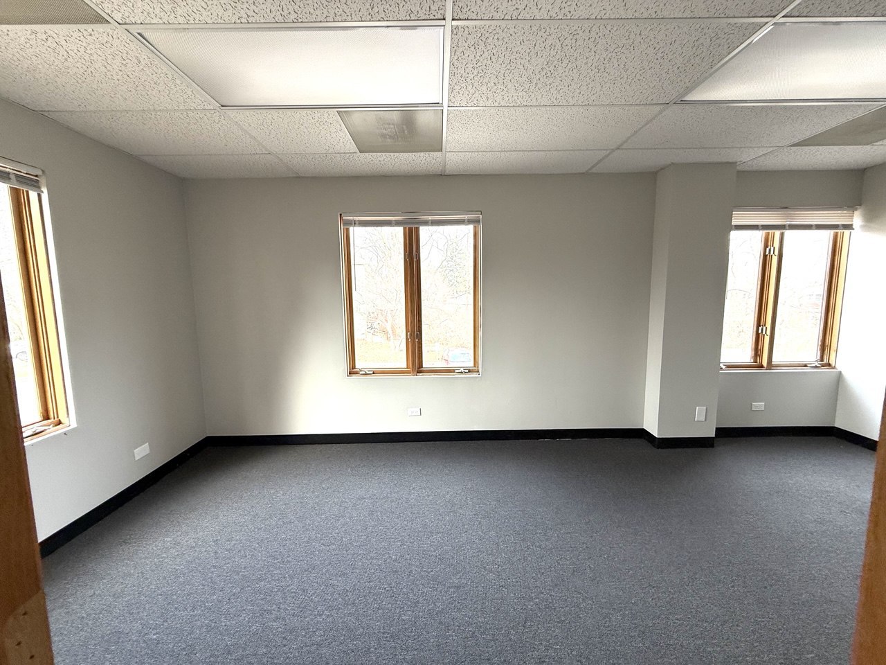 906 Lacey Avenue Lisle IL 60532