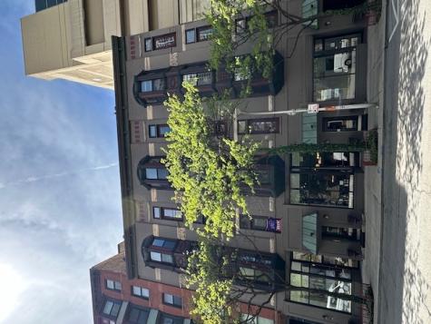 1008 North Clark Street Chicago IL 60610
