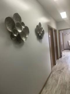 1835 Dixie Highway Flossmoor IL 60422