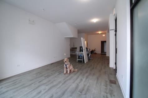 935 North Ashland Avenue Chicago IL 60622