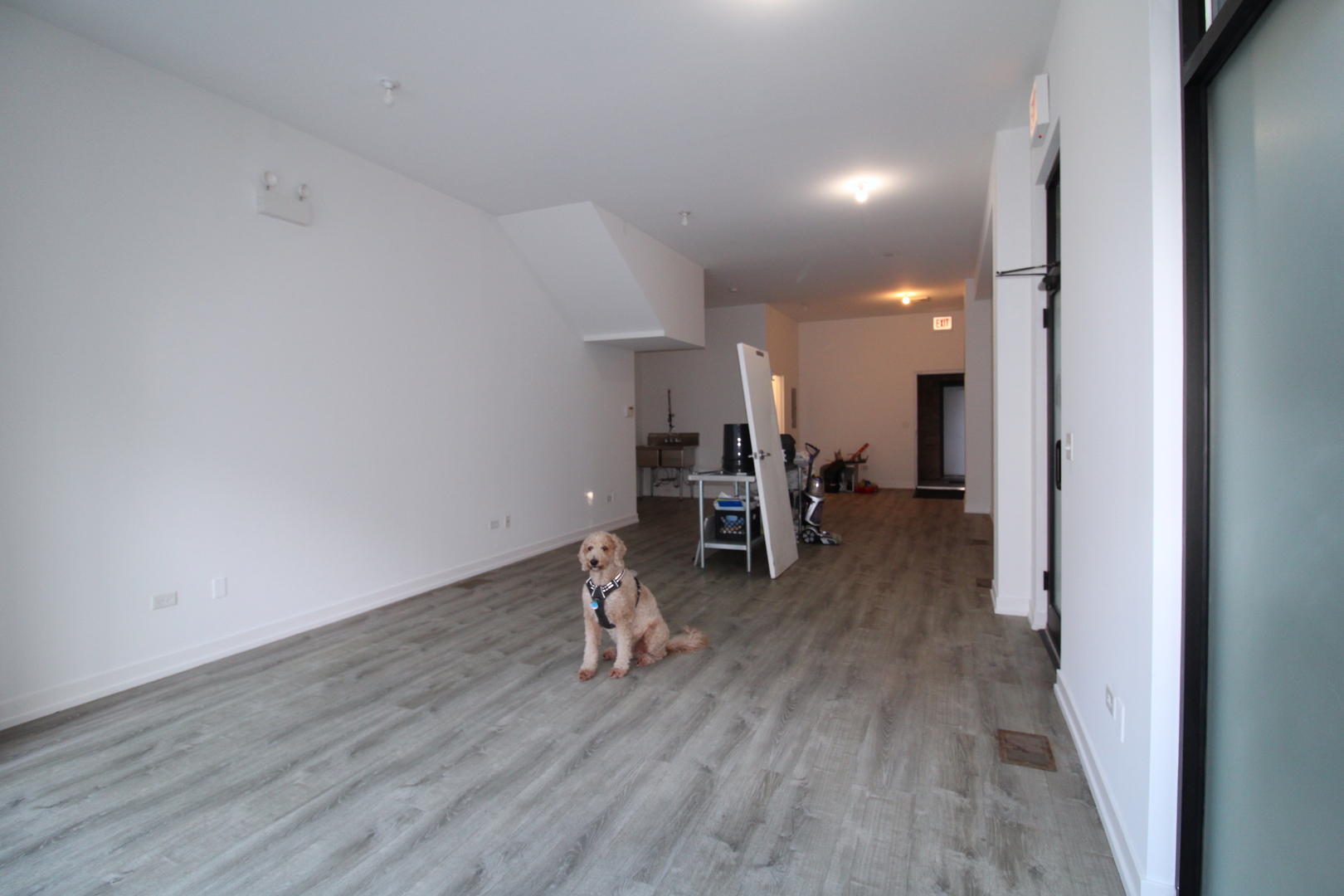 935 North Ashland Avenue Chicago IL 60622