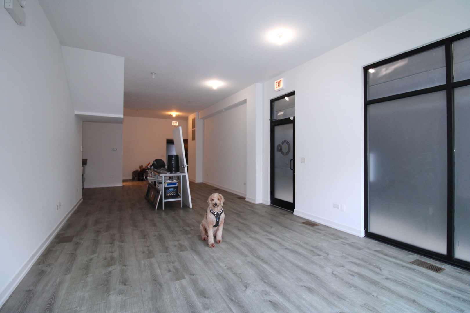 935 North Ashland Avenue Chicago IL 60622