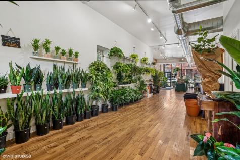 2321 West North Avenue Chicago IL 60647