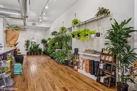 2321 West North Avenue Chicago IL 60647