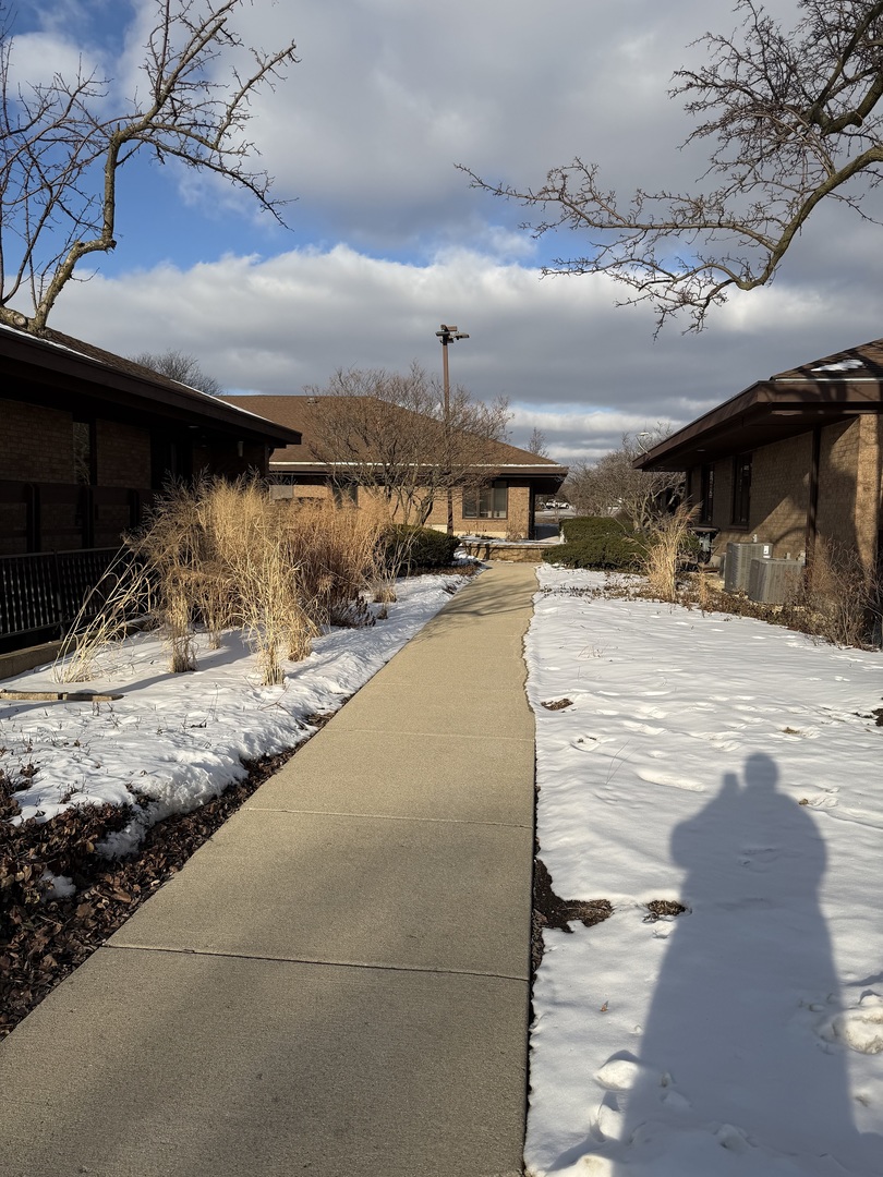501-517 Thornhill Drive Carol Stream IL 60188