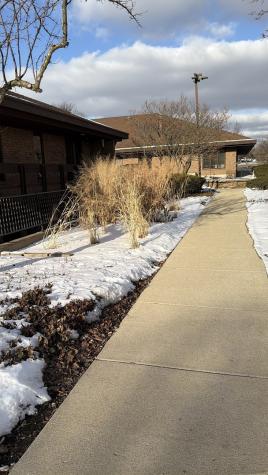501-517 Thornhill Drive Carol Stream IL 60188