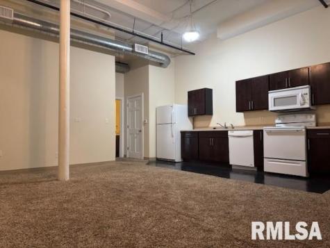 1317 5TH Avenue Moline IL 61265