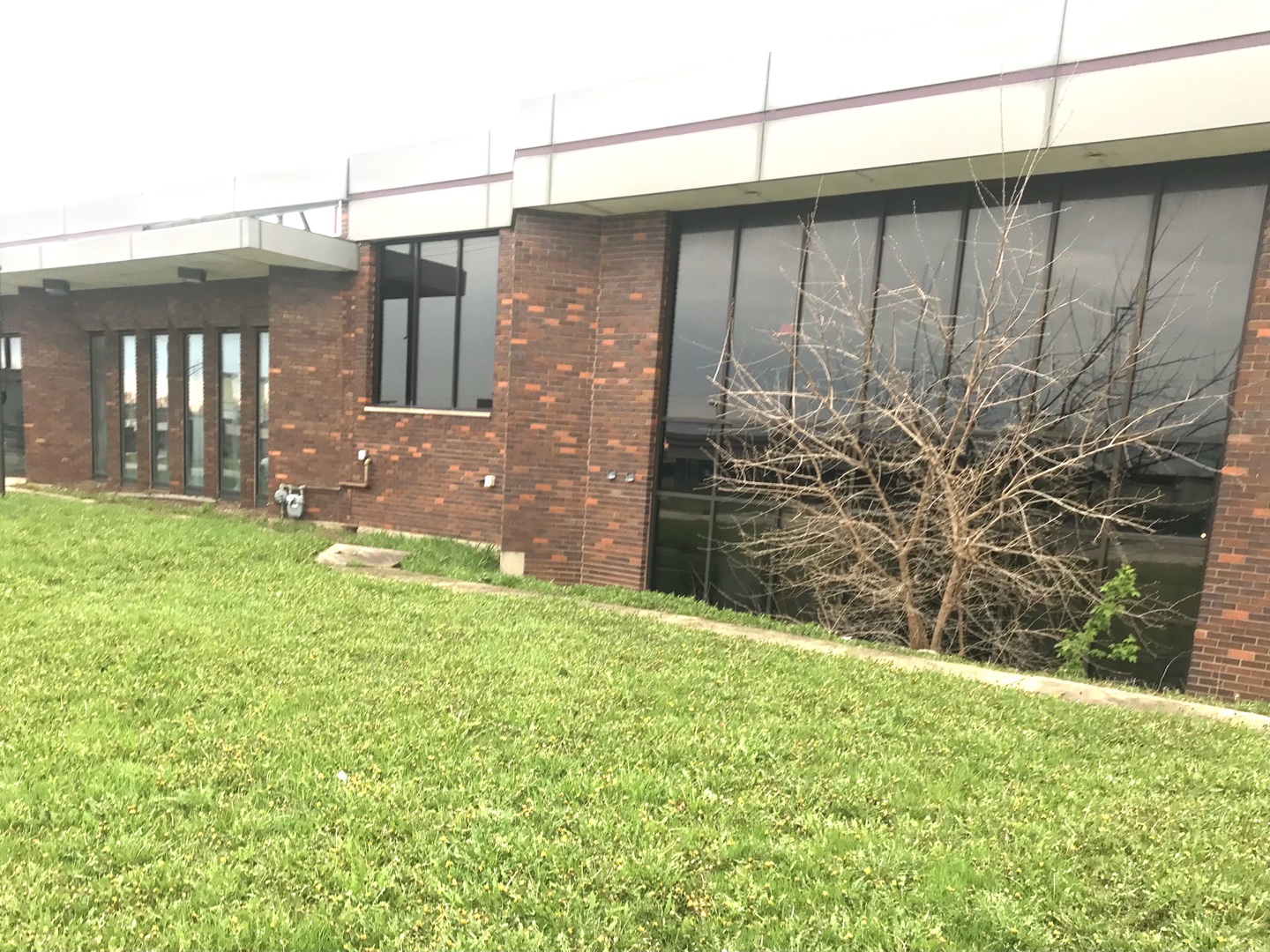 6125 South Cass Avenue Westmont IL 60559