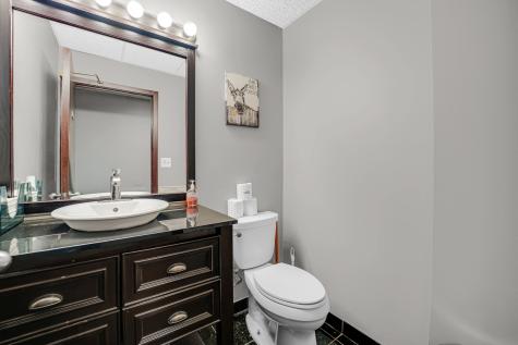 1175 Jansen Farm Court Elgin IL 60123
