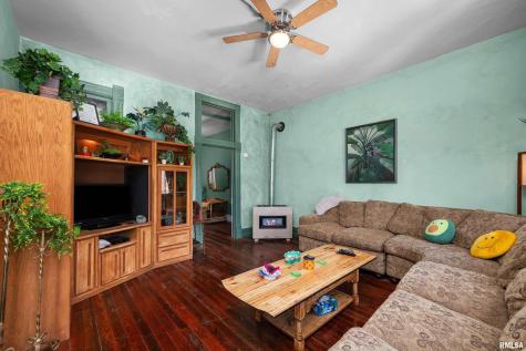 309 Main Street Savanna IL 61074