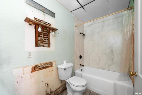 309 Main Street Savanna IL 61074