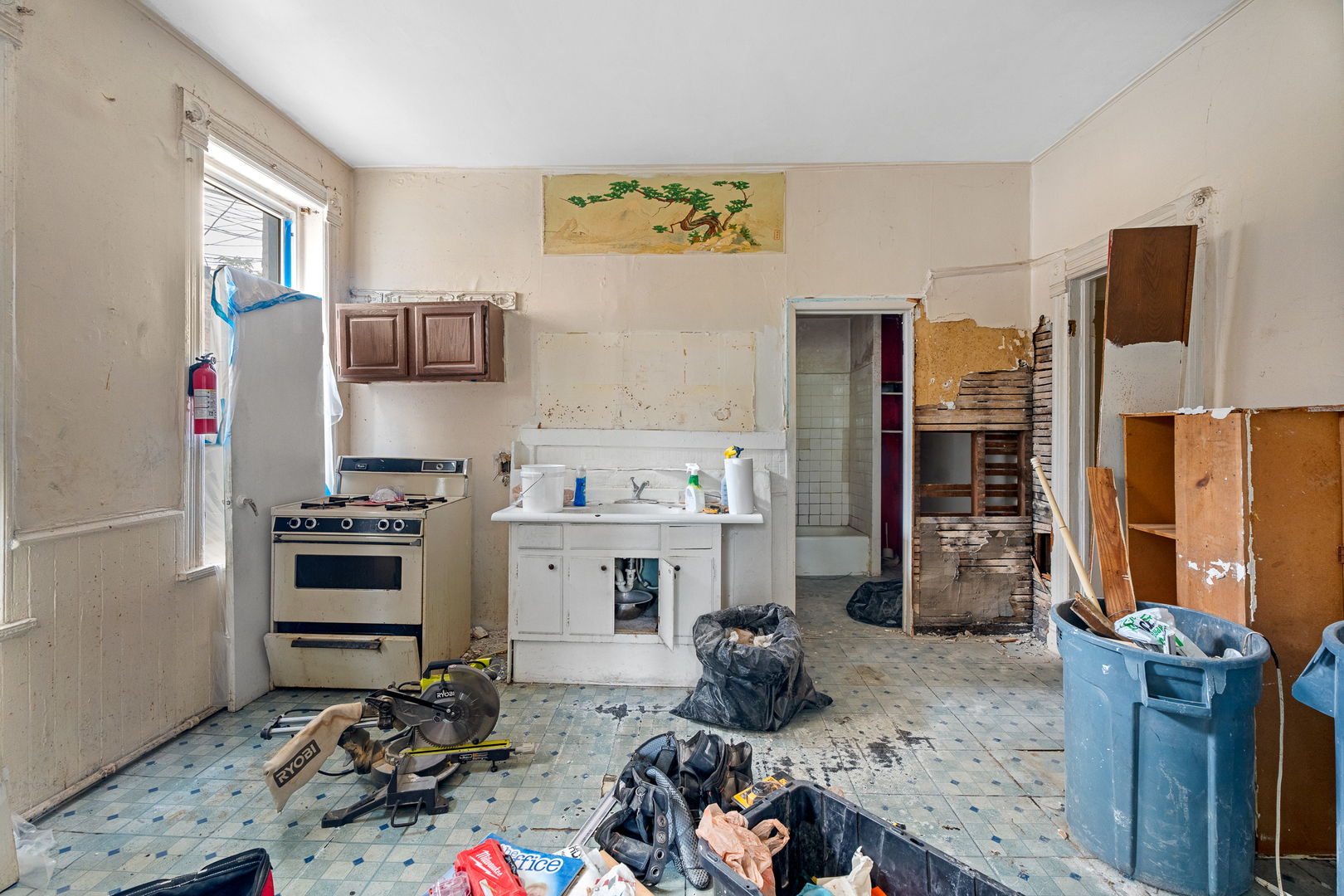 1314 West 18th Place Chicago IL 60608