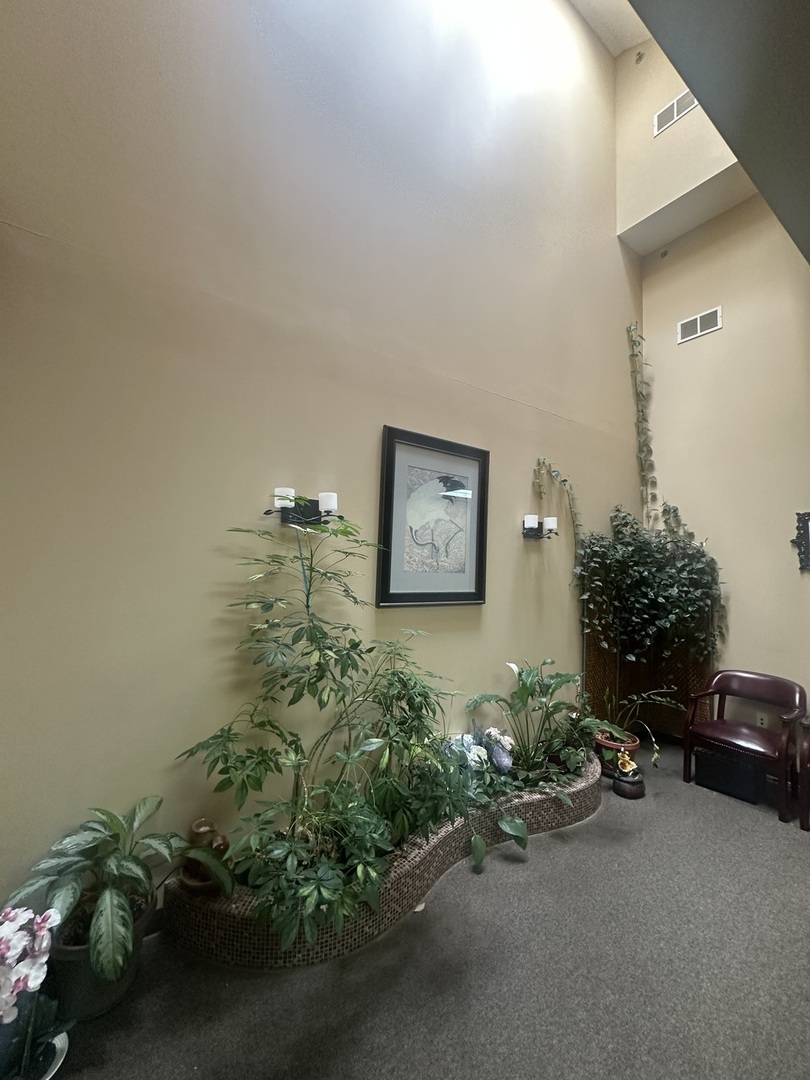 3845 Mccoy Drive Aurora IL 60504