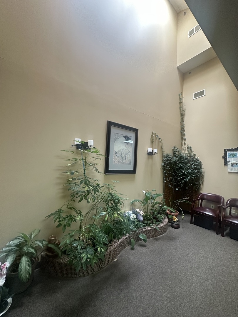 3845 Mccoy Drive Aurora IL 60504