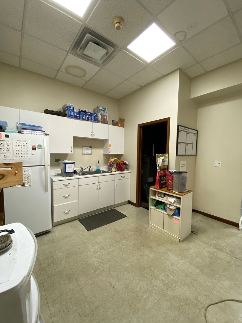 703 Childs Street Wheaton IL 60187