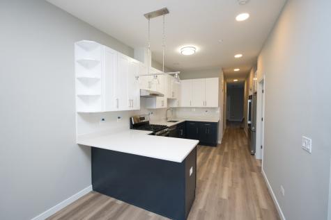 3122 South Morgan Street Chicago IL 60608
