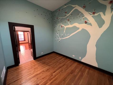 26 East Downer Place Aurora IL 60505