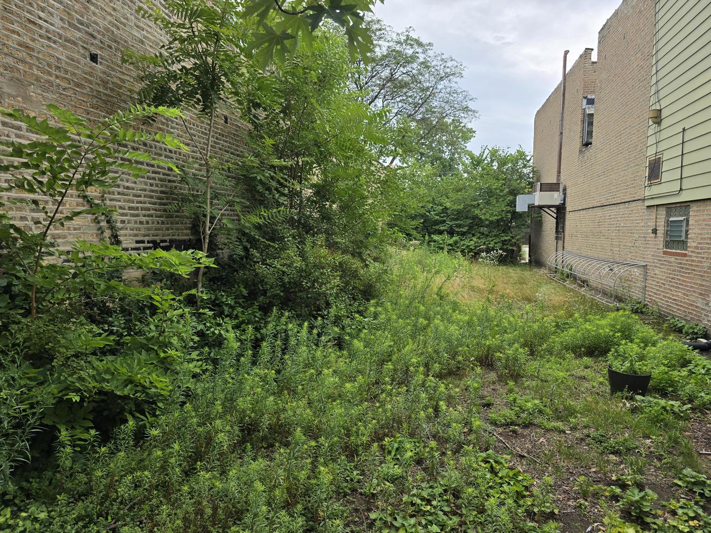 5638 North Western Avenue Chicago IL 60659