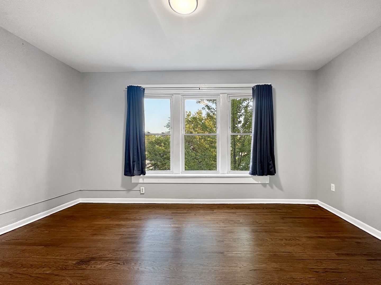1838 West 65th Street Chicago IL 60636