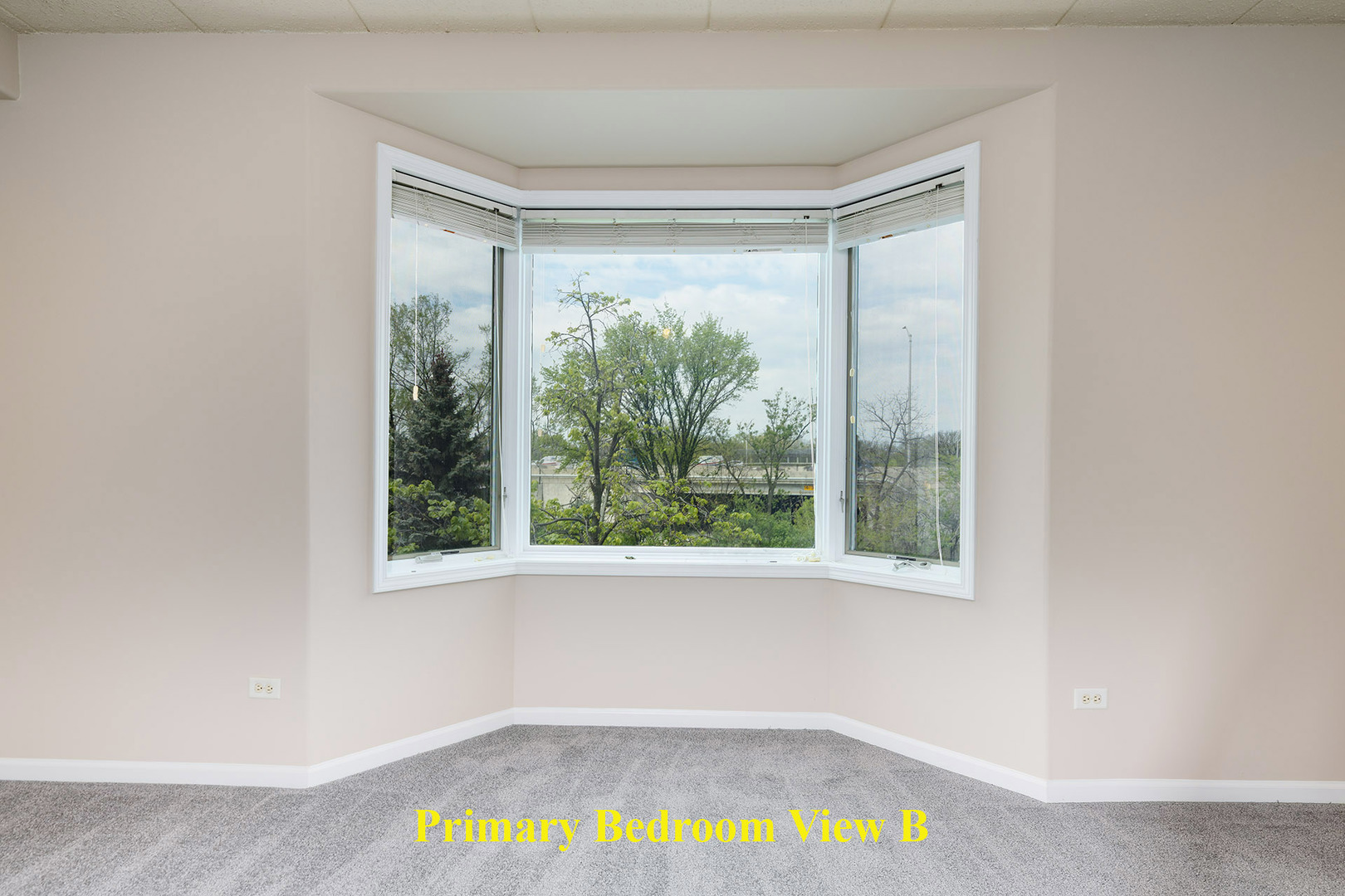 1715 Pavilion Way Park Ridge IL 60068