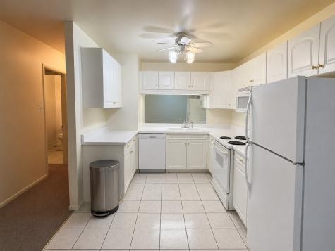 1117 Leavitt Avenue Flossmoor IL 60422