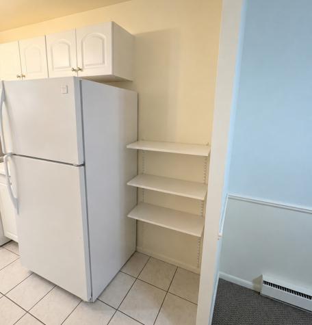 1117 Leavitt Avenue Flossmoor IL 60422