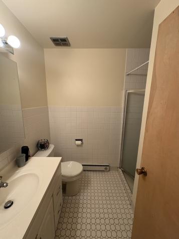 1117 Leavitt Avenue Flossmoor IL 60422