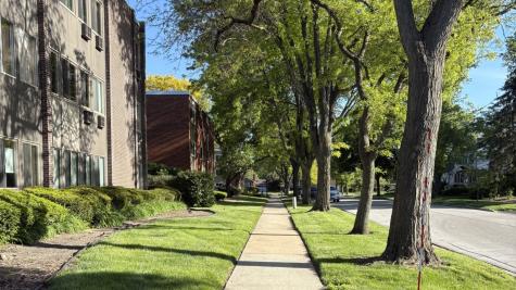 1117 Leavitt Avenue Flossmoor IL 60422