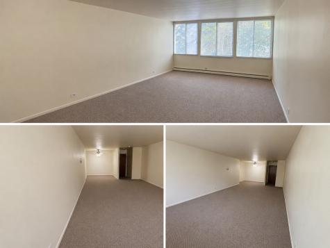 1117 Leavitt Avenue Flossmoor IL 60422
