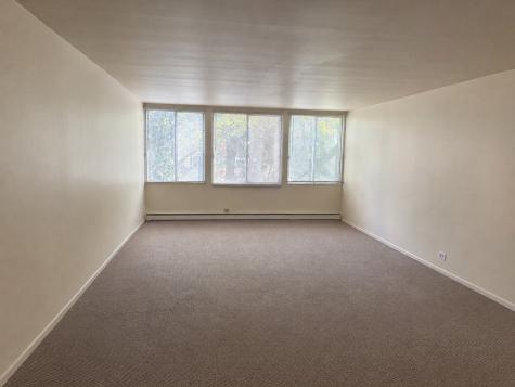 1117 Leavitt Avenue Flossmoor IL 60422