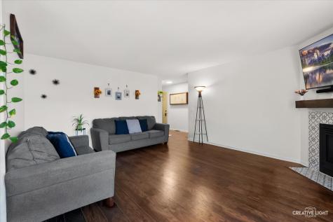 295 Woodridge Circle South Elgin IL 60177