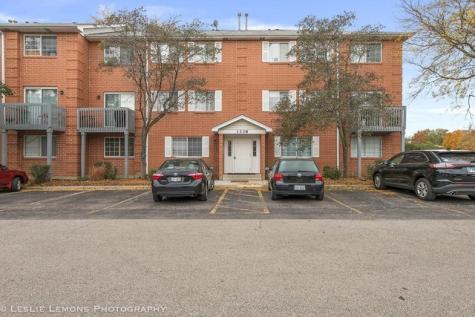 1338 South Lorraine Road Wheaton IL 60189