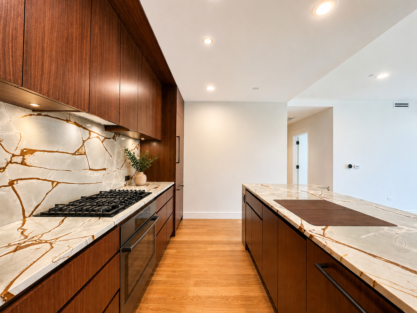 415 East North Water Street Chicago IL 60611