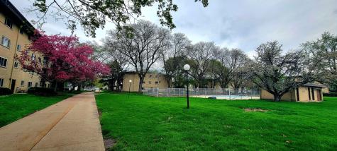 535 South Cleveland Avenue Arlington Heights IL 60005