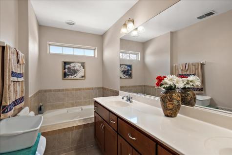 1674 Brightwood Place Aurora IL 60506
