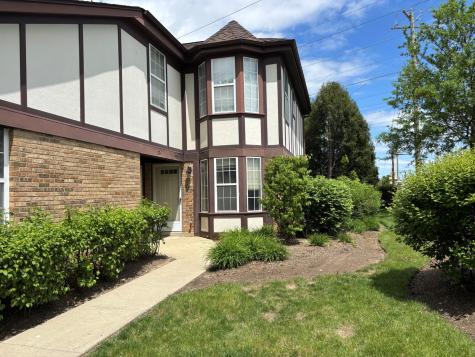 396 Cobbler Lane Buffalo Grove IL 60089