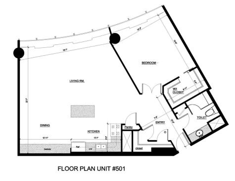 505 North Lake Shore Drive Chicago IL 60611