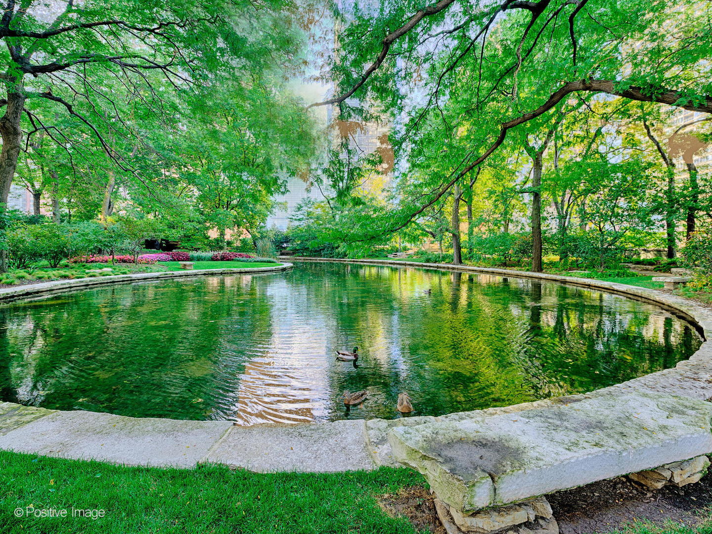 505 North Lake Shore Drive Chicago IL 60611