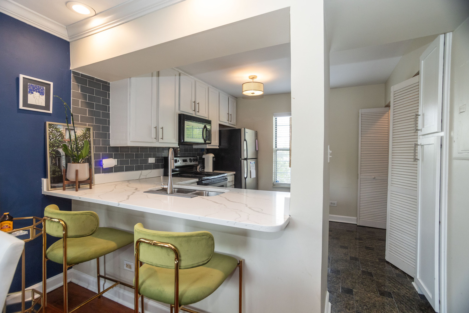 1757 Eastwood Court Schaumburg IL 60195