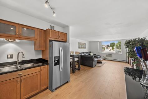 201 South Maple Avenue Oak Park IL 60302