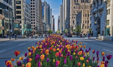 161 East Chicago Avenue Chicago IL 60611
